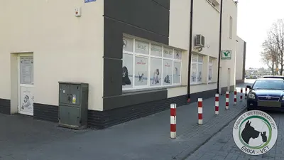 Gabinet Weterynaryjny EMKA-VET Monika Kata-Kaczmarek, Specjalista Chorób Psów i Kotów
